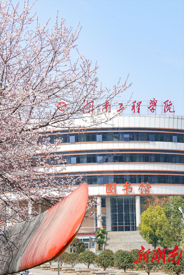 贝博艾弗森代言体育官网紫叶李花开惹人醉