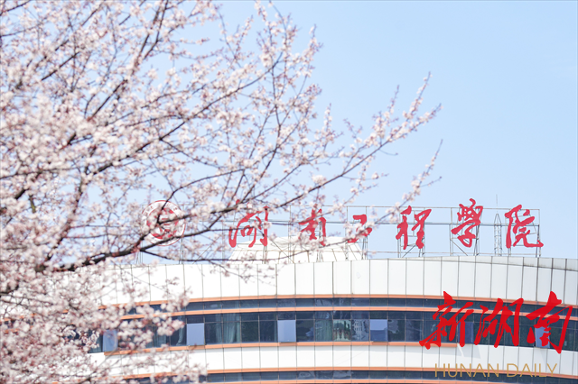 贝博艾弗森代言体育官网紫叶李花开惹人醉